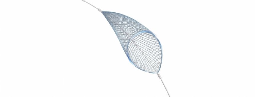 Embolic Protection Device